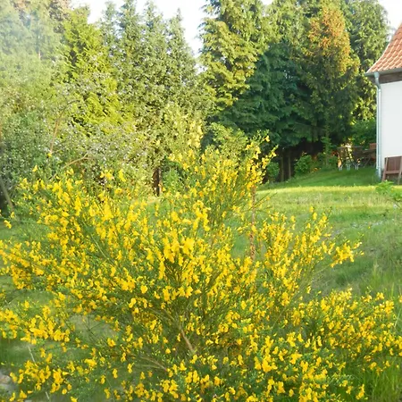 Apartment Ferienlandhaus *